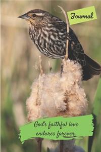 God's Faithful love endures forever journal