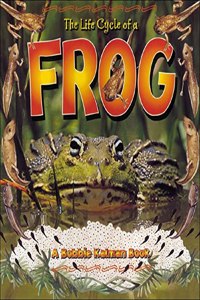Life Cycle of a Frog
