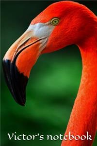 Victor's notebook, journal, size 6x9, 100 pages