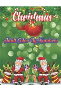 Christmas Adult Color By Numbers