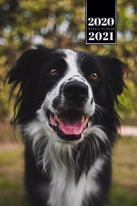 Border Collie Dog Calendar Week Planner 2020 / 2021 - Lovely Look
