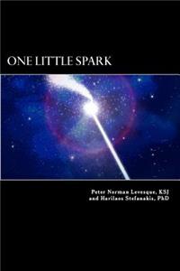 One Little Spark