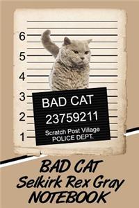 Bad Cat Selkirk Rex Gray Notebook