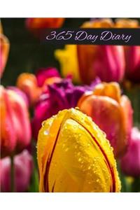 365 Day Diary