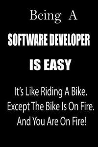 Being a Software Developer Is Easy