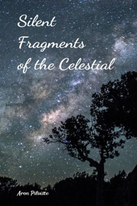 Silent Fragments of the Celestial