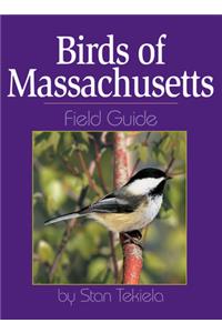 Birds of Massachusetts Field Guide