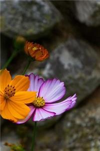 Summer Flowers Notebook