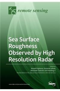 Sea Surface Roughness Observed by High Resolution Radar