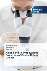 Kinetic and Thermodynamic Properties of Bovine Kidney Uricase