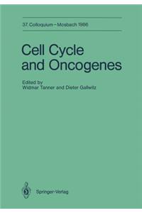 Cell Cycle and Oncogenes