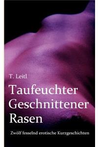 Taufeuchter Geschnittener Rasen