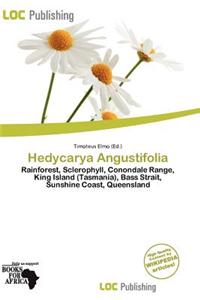Hedycarya Angustifolia