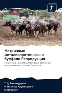 Матричные металлопротеиназы в буффало Ре