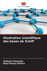 Illustration scientifique des bases de Schiff