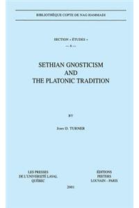 Sethian Gnosticism and the Platonic Tradition