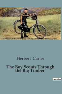 Boy Scouts Through the Big Timber