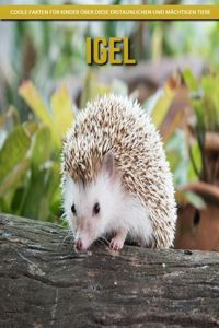 Igel - Coole Fakten für Kinder über diese erstaunlichen und mächtigen Tiere