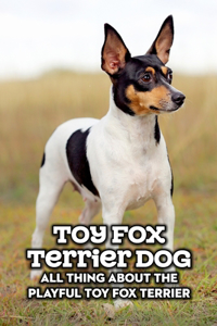 Toy Fox Terrier Dog