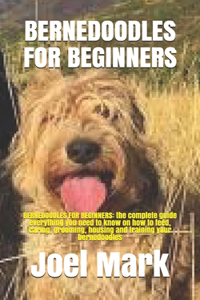 Bernedoodles for Beginners