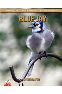 Blue Jay