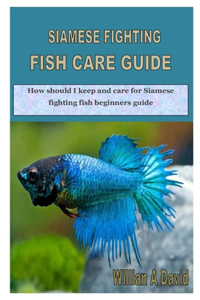 Siamese Fighting Fish Care Guide