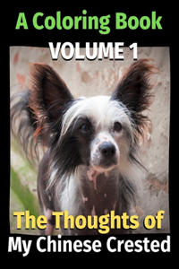 Thoughts of My Chinese Crested