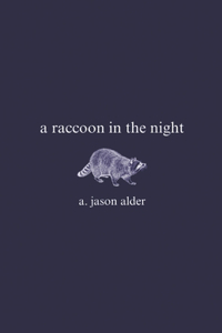 raccoon in the night