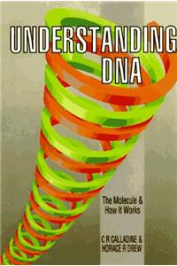 Understanding DNA: The Molecule and How it Works