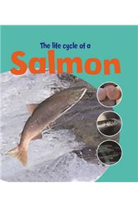 Learning About Life Cycles: The Life Of A Salmon