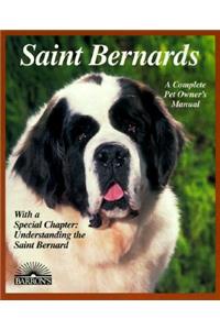 Saint Bernards