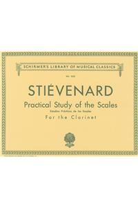 Practical Study of the Scales