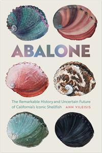 Abalone