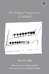 Ecology of Imagination in Childhood