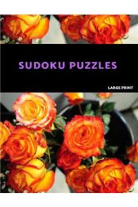 Sudoku Puzzles Large Print