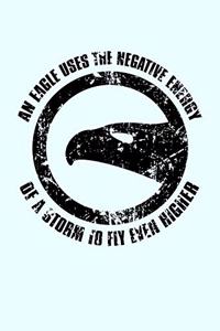 An Eagle Uses The Negative Energy Of a Storm To Fly Even Higher