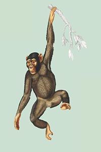 Chimpanzee Hanging on Tree Branch - Blank Lined Notebook