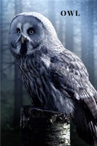 Owl
