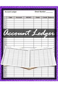 Accounting Ledger