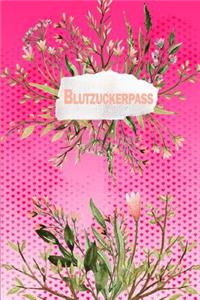 Blutzuckerpass