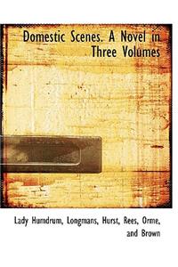 Domestic Scenes. a Novel in Three Volumes
