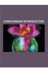 Loricariidae Introduction