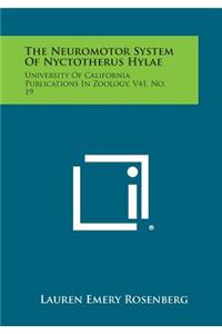 Neuromotor System of Nyctotherus Hylae