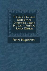 Il Fuoco E La Luce Nella Divina Commedia