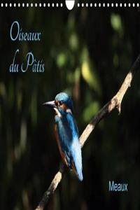 Oiseaux du Patis 2018