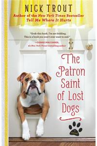 Patron Saint of Lost Dogs