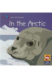 In the Arctic