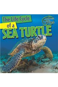The Life Cycle of a Sea Turtle