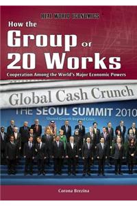 How the Group of 20 Works