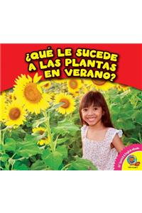 Que Le Sucede a Las Plantas En Verano?